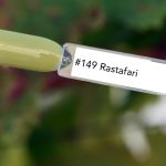 Nail perfect upvoted 149 rastafari tips