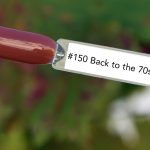 Nail perfect upvoted 150 back to the 70s tips