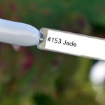 Nail perfect upvoted 153 jade tips