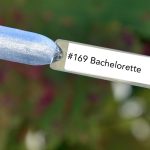 Nail perfect upvoted 169 bachelorette tips