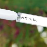 Nail perfect upvoted 173 tic tac tips