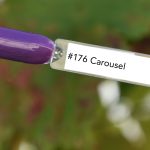 Nail perfect upvoted 176 carousel tips