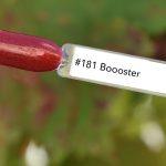Nail perfect upvoted 181 boooster tips