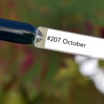 Nail perfect upvoted 207 october tips