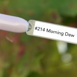 Nail perfect upvoted 214 morning dew tips