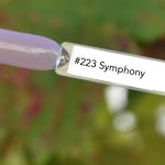 Nail perfect upvoted 223 symphonie tips