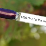Nail perfect upvoted 230 one for the road tips