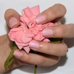 shellac vernis permanent blush teddy image1