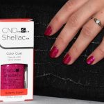 shellac vernis permanent butterfly queen image5