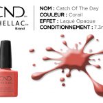 shellac vernis permanent catch of the day