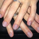 shellac vernis permanent field fox image1