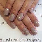 shellac vernis permanent field fox imagev3