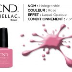 shellac vernis permanent holographic