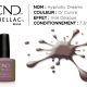 shellac vernis permanent hypnotic dreams