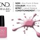 shellac vernis permanent kiss from a rose