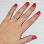 shellac vernis permanent lobster roll image8