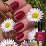 Vernis semi-permanent CND Shellac Tinted Love rouge profond avec flacon, application sur ongles finition brillante