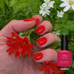 Vernis semi-permanent CND Shellac Wildfire rouge intense appliqué sur ongles avec flacon
