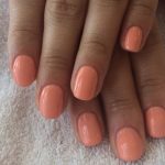 shellac vernis permanent salmon run image1