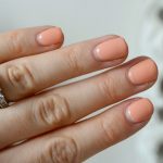 shellac vernis permanent salmon run image2