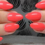 shellac vernis permanent tropix image1