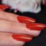 shellac vernis permanent wildfire image2