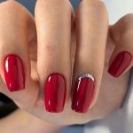 shellac vernis permanent wildfire image8