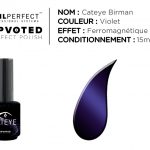 Nail perfect upvoted cateye birman