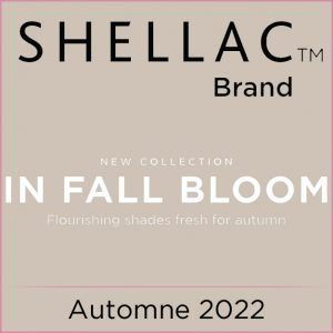 Collection Automne 2022 - In Fall Bloom