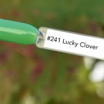 Nail perfect upvoted 241 lucky clover tips