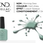 shellac vernis permanent morning dew