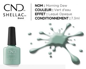 shellac vernis permanent morning dew