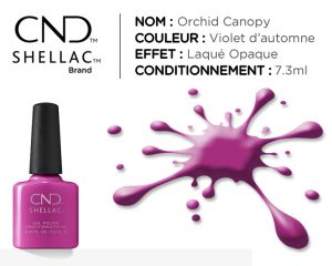 shellac vernis permanent orchid canopy
