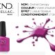 shellac vernis permanent orchid canopy
