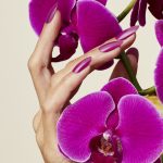 shellac vernis permanent orchid canopy image1