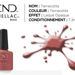 shellac vernis permanent terracotta