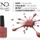 shellac vernis permanent terracotta