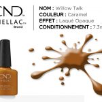 shellac vernis permanent willow talk