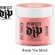 DIPbreakthemoldNEW1
