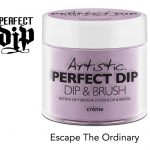 artistic nail design dip escape the ordinary