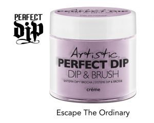 artistic nail design dip escape the ordinary