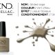 shellac vernis permanent Gilded sage