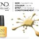 shellac vernis permanent sundial it up