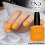 Vernis semi-permanent professionnel CND Shellac Among The Marigolds, teinte orange jaune lumineuse et ensoleillée, finition brillante sur ongles courts et longs