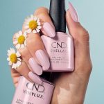 shellac carnation bliss image
