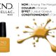 shellac vernis permanent among the marigolds