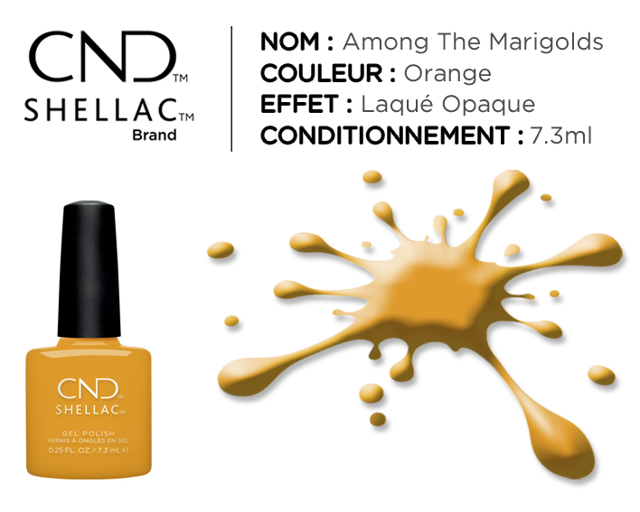 shellac vernis permanent among the marigolds