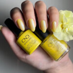 CND Shellac Char Truth