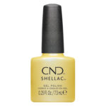 cnd shellac char truth vernis semi permanent professionnel
