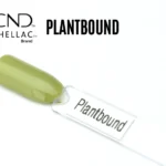 Capsule du vernis semi-permanent professionnel CND™ Shellac Plantbound, vert sauge clair aux nuances végétales et finition brillante.